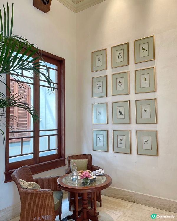 💖香港最美下午茶🌸