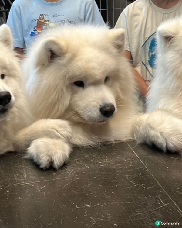 首爾就是要慢慢玩，每次去都有新鮮感，兩個星空圖書館，各有特色...