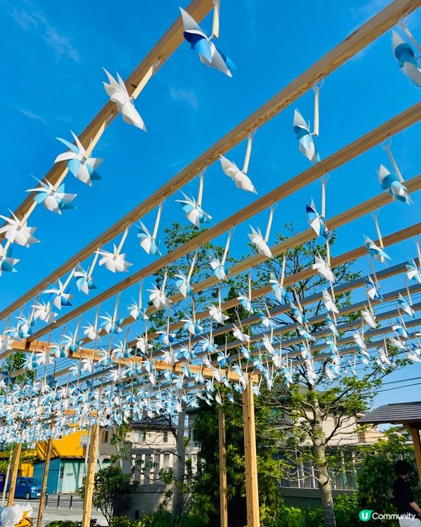 距離東京只係30分鐘車程就可以到達近郊擁有小江戶之稱嘅川越｡...