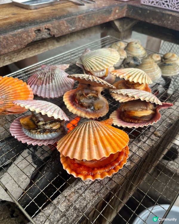 分享一下夏日福岡自駕遊 去了島原自助燒海鮮超豐富,如果加上麒...