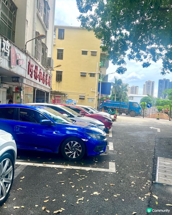 ｛港車北上｝深圳坪山美食阿林私房菜