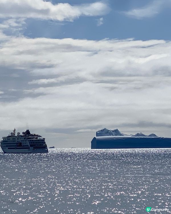 🗺️ 《南極》南極遊輪點揀好？🛫🐧🛳️