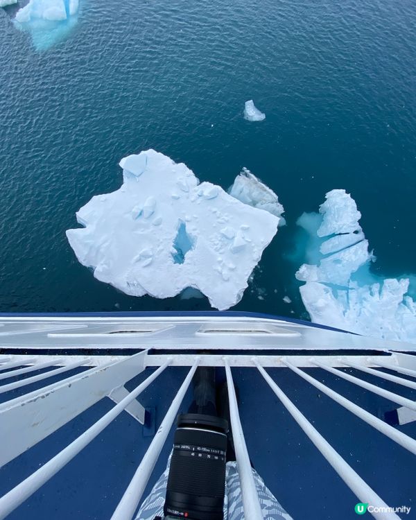 🗺️ 《南極》南極遊輪點揀好？🛫🐧🛳️