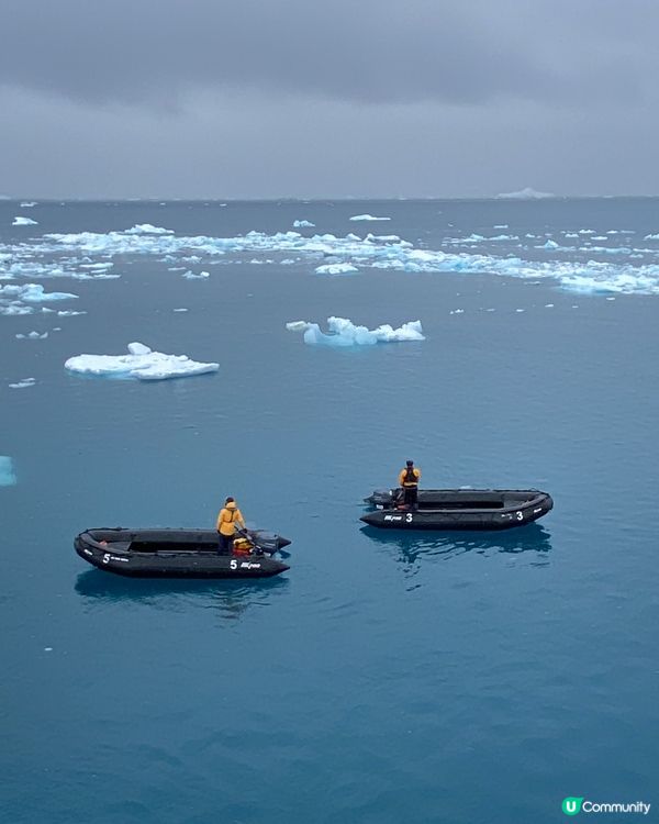 🗺️ 《南極》南極遊輪點揀好？🛫🐧🛳️