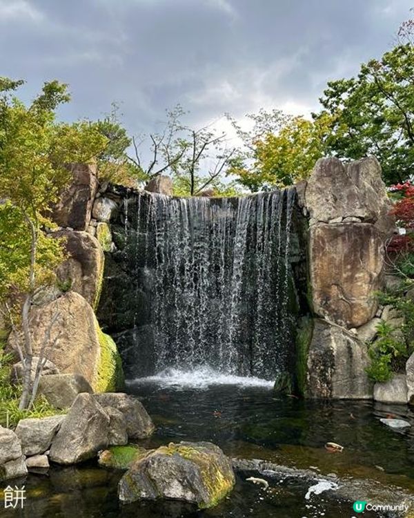 日本關西自駕遊(4) | 大阪門真購物 | 金剛寺 | KOMEDA'S咖啡店 | 道頓堀 | 蟹道樂