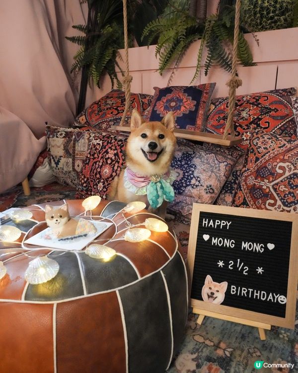 今日2歲半啦🧜‍♀️