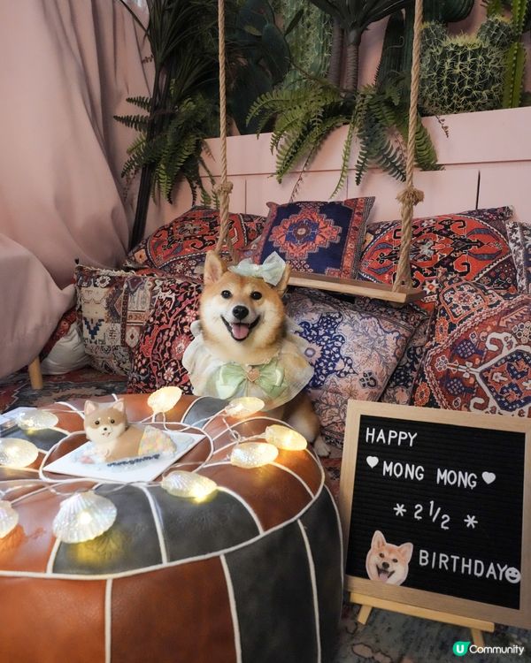 今日2歲半啦🧜‍♀️