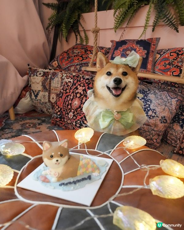 今日2歲半啦🧜‍♀️