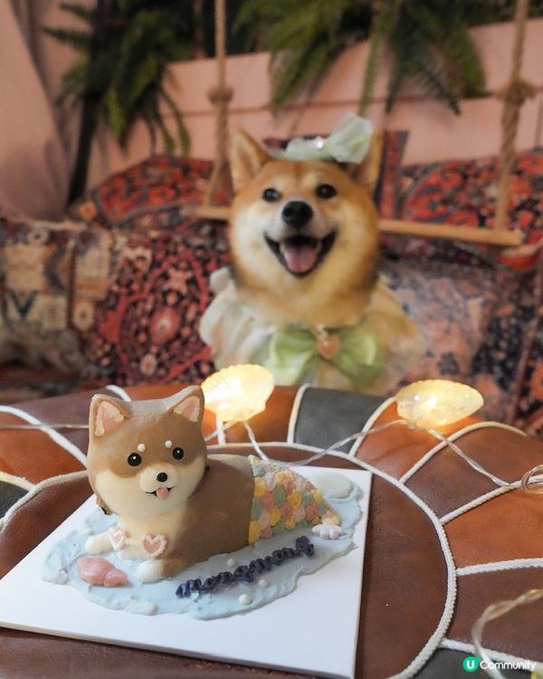 今日2歲半啦🧜‍♀️