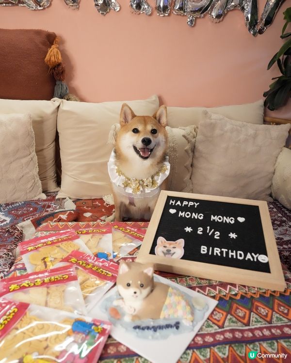 今日2歲半啦🧜‍♀️