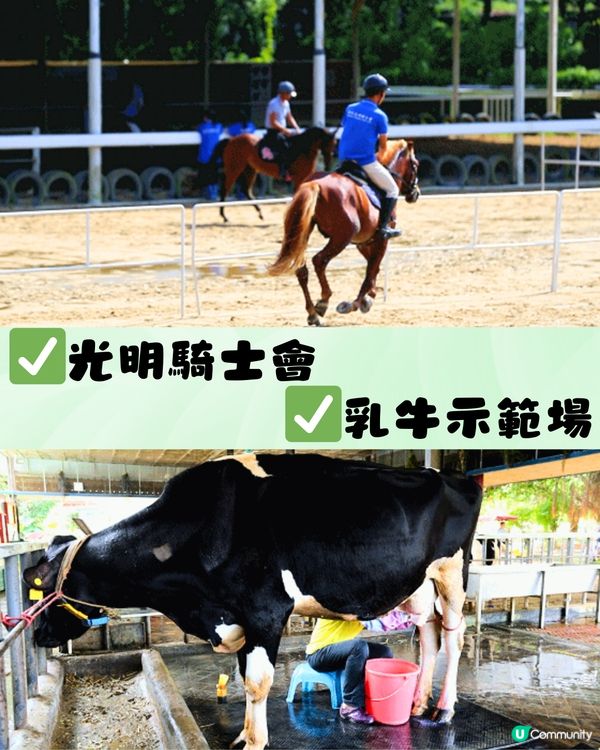 深圳光明農場燈光節2024！任玩40+個玩樂設施！親子必去～