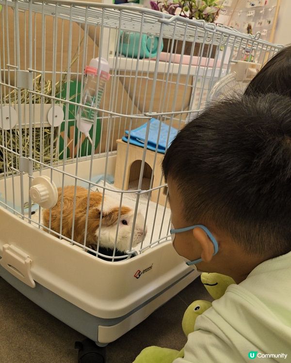 免費親子活動💕