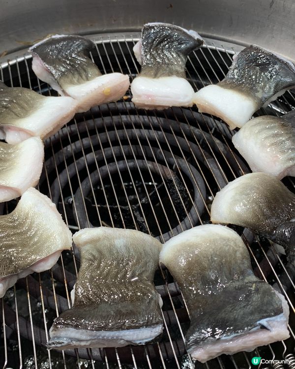 深圳CP值超高韓國烤鰻魚🐟