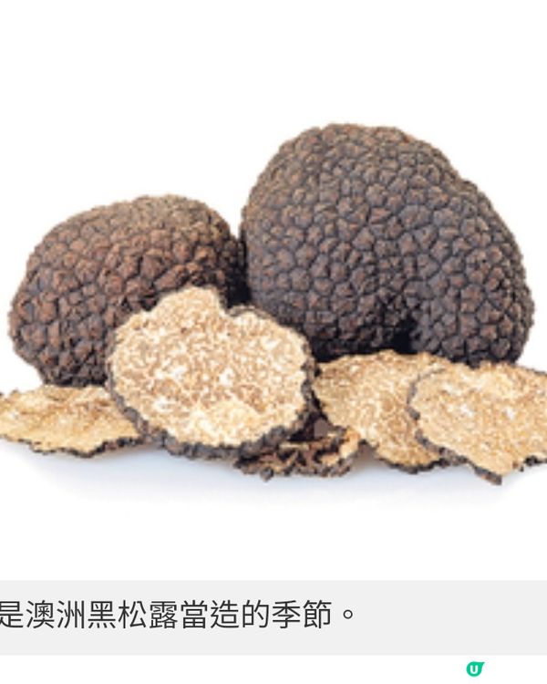 澳洲冬季黑松露當造 焗釀蟹蓋+即 刨黑松露片絕配