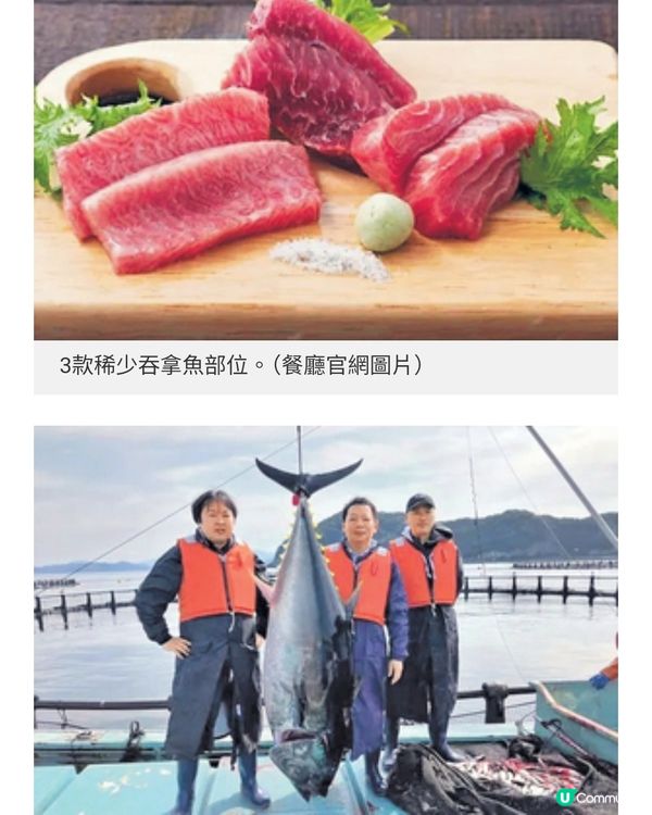 東京新開主題餐廳 人氣漫畫
Chiikawa 吞拿魚專門店