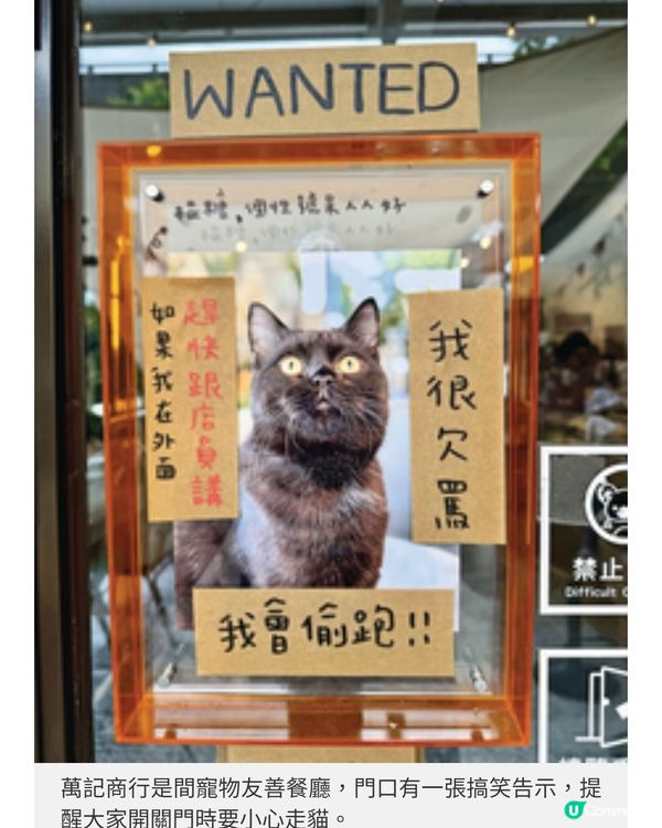 宜蘭豪華美食之旅 私廚親到民宿炮製北歐宴