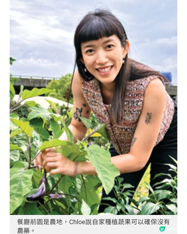 宜蘭豪華美食之旅 私廚親到民宿炮製北歐宴