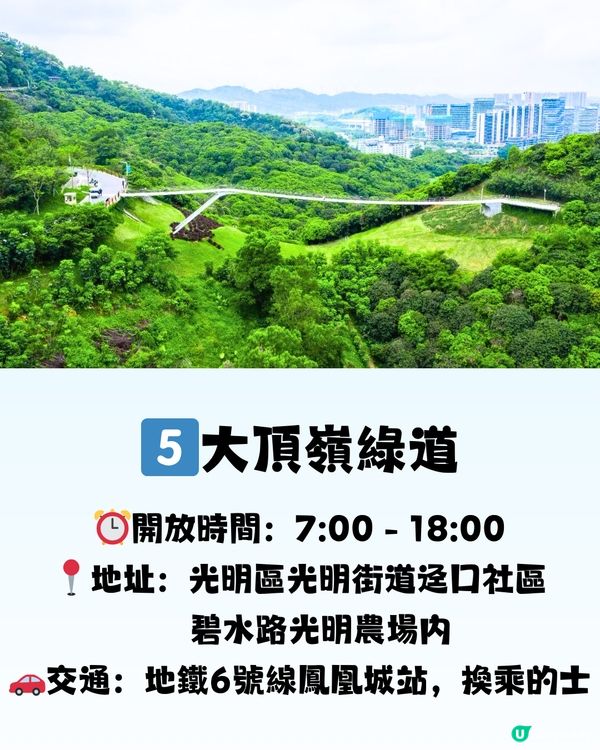 深圳必打卡8大棧道🗺️👟天空之鏡/森林長廊/森林「紅絲帶」🎀