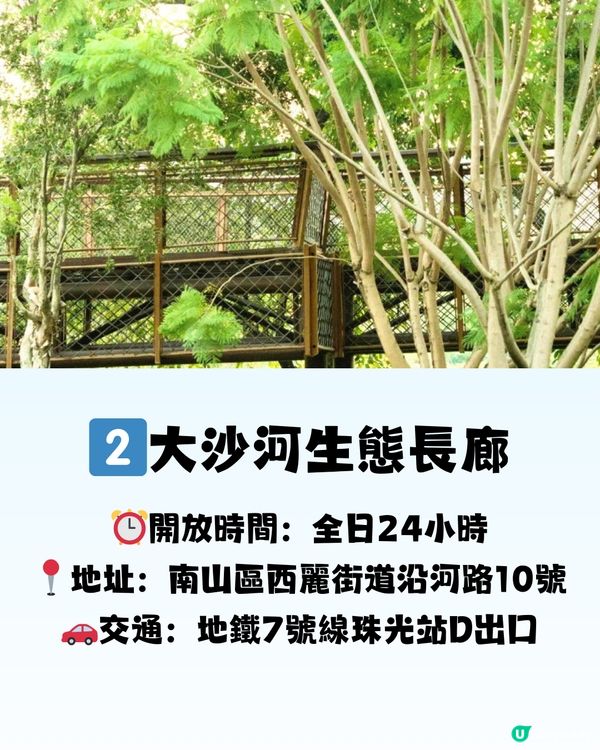 深圳必打卡8大棧道🗺️👟天空之鏡/森林長廊/森林「紅絲帶」🎀