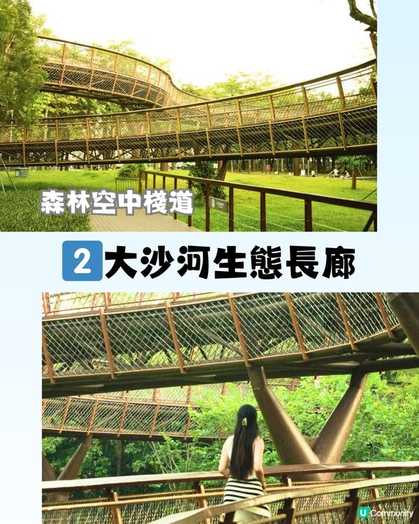 深圳必打卡8大棧道🗺️👟天空之鏡/森林長廊/森林「紅絲帶」🎀