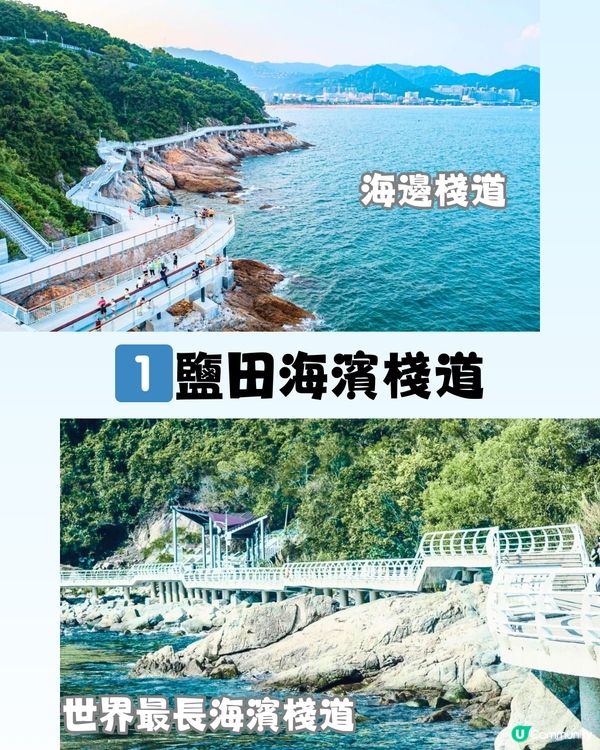 深圳必打卡8大棧道🗺️👟天空之鏡/森林長廊/森林「紅絲帶」🎀