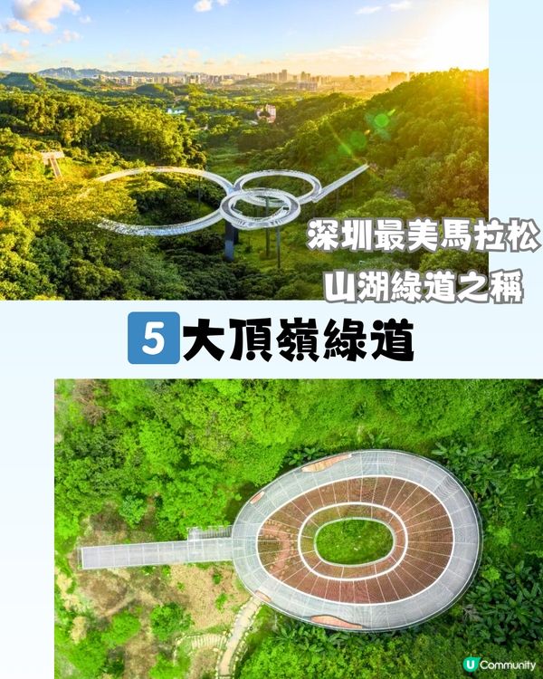 深圳必打卡8大棧道🗺️👟天空之鏡/森林長廊/森林「紅絲帶」🎀