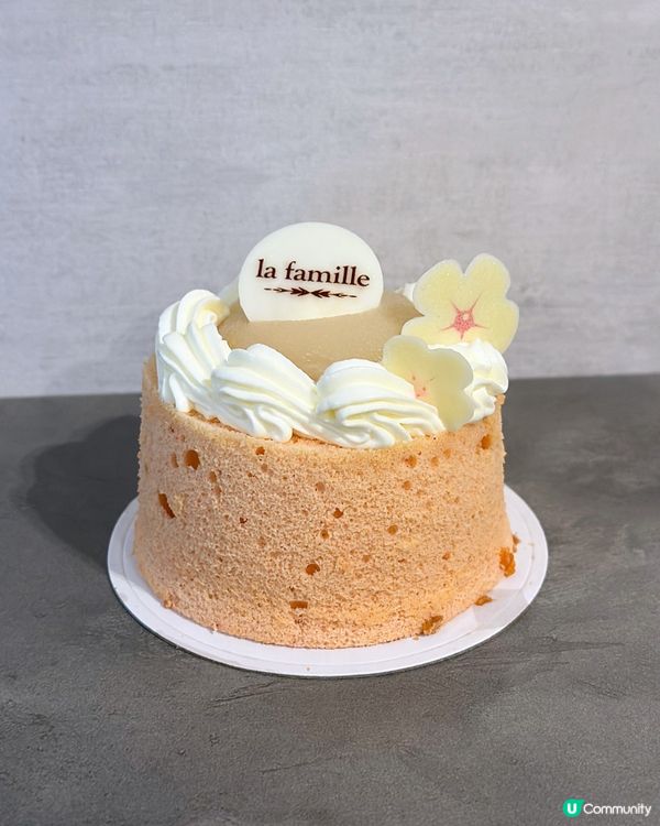 全新雙層戚風小蛋糕💜