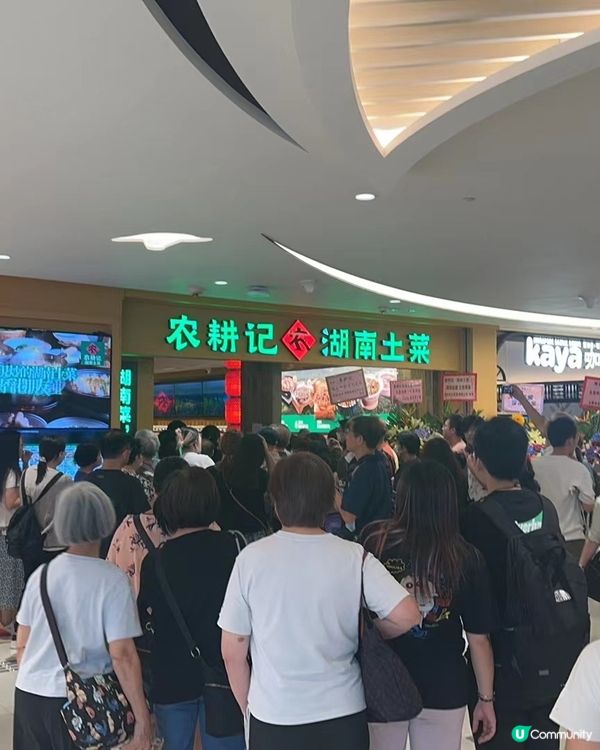 農耕記湖南土菜🌶️ 黃大仙開張啦！🎉