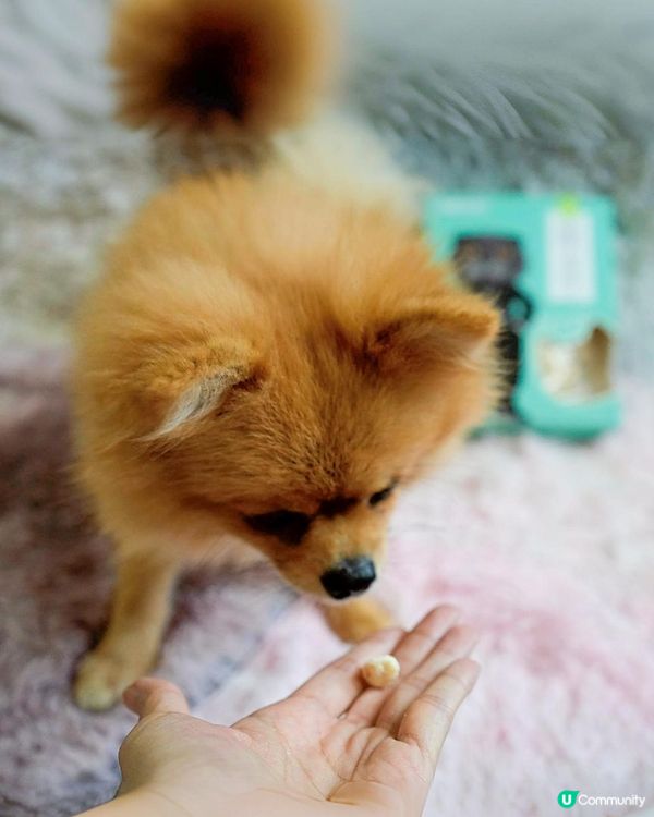 台灣寵物凍乾零食