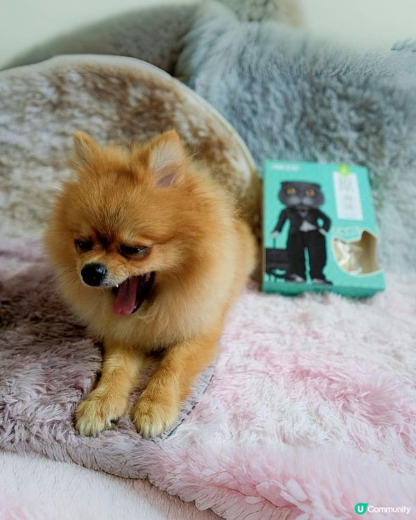 台灣寵物凍乾零食