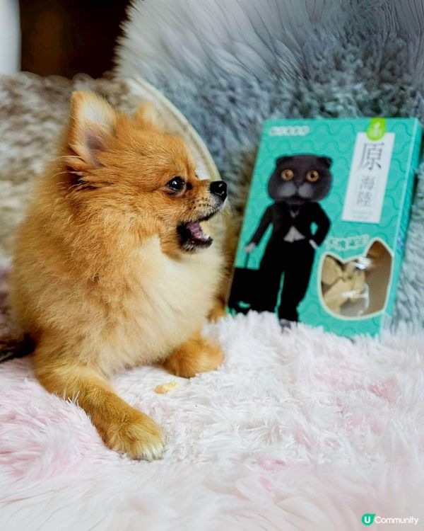 台灣寵物凍乾零食