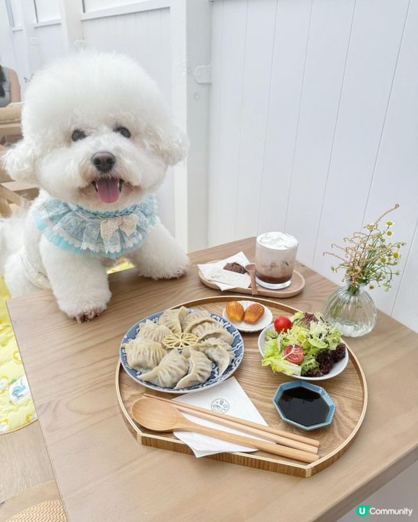 狗狗🍠室內打卡餐廳 -- Days in the Sun Café