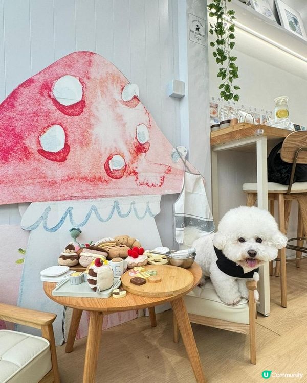 狗狗🍠室內打卡餐廳 -- Days in the Sun Café