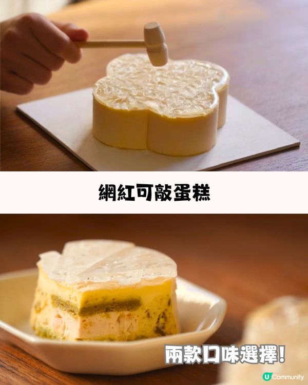 深圳新店6大必買手信🛍️爆Cream梳乎厘/精緻小蛋撻👅附交通教學🚗