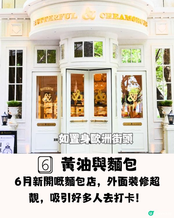 深圳新店6大必買手信🛍️爆Cream梳乎厘/精緻小蛋撻👅附交通教學🚗