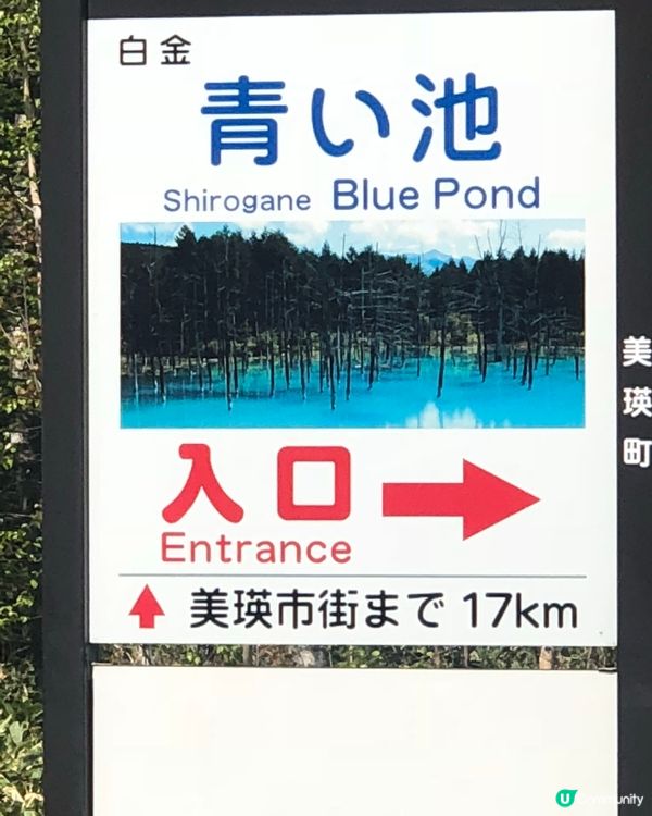 北海道必去打卡點！💙 白金青池美到爆💥