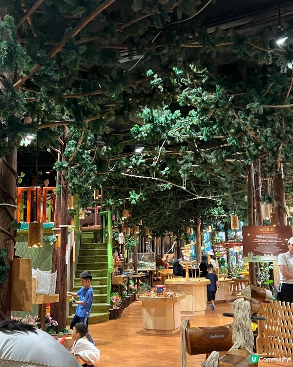 森林裡主題室內兒童遊樂場 | 人均低至$68玩2小時