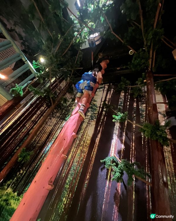 森林裡主題室內兒童遊樂場 | 人均低至$68玩2小時