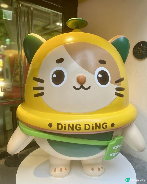 👴🏻👴🏻校長，您去咗邊？👴🏻👴🏻