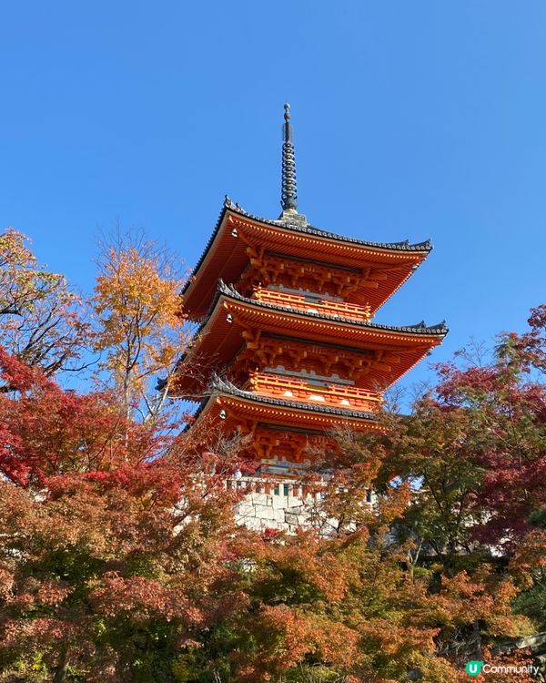 🗺️《開始plan吓》京都清水寺🍁音羽茶寮🍵