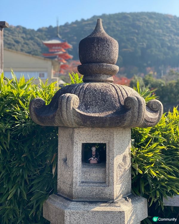 🗺️《開始plan吓》京都清水寺🍁音羽茶寮🍵