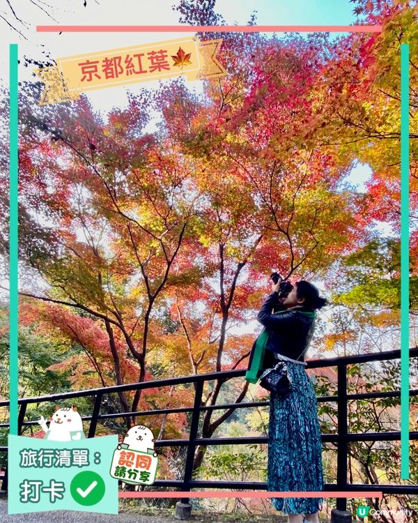 🗺️《開始plan吓》京都清水寺🍁音羽茶寮🍵