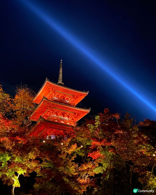 🗺️《開始plan吓》京都清水寺🍁音羽茶寮🍵