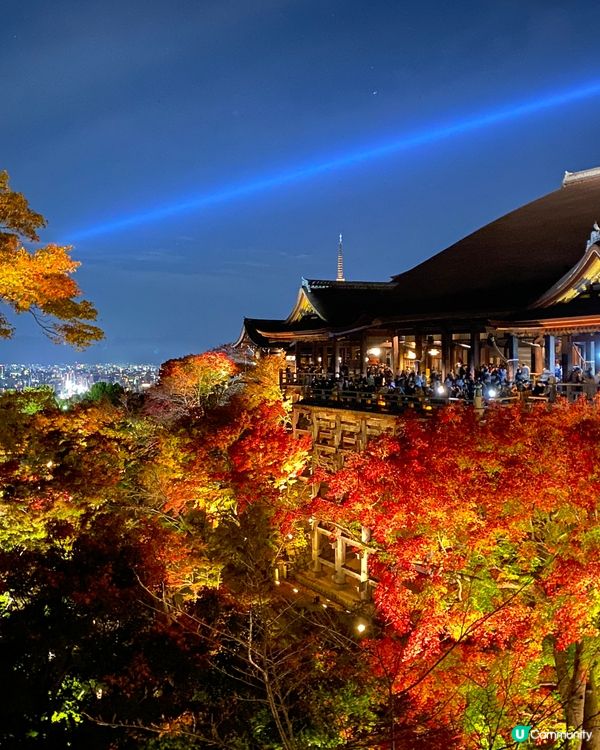 🗺️《開始plan吓》京都清水寺🍁音羽茶寮🍵