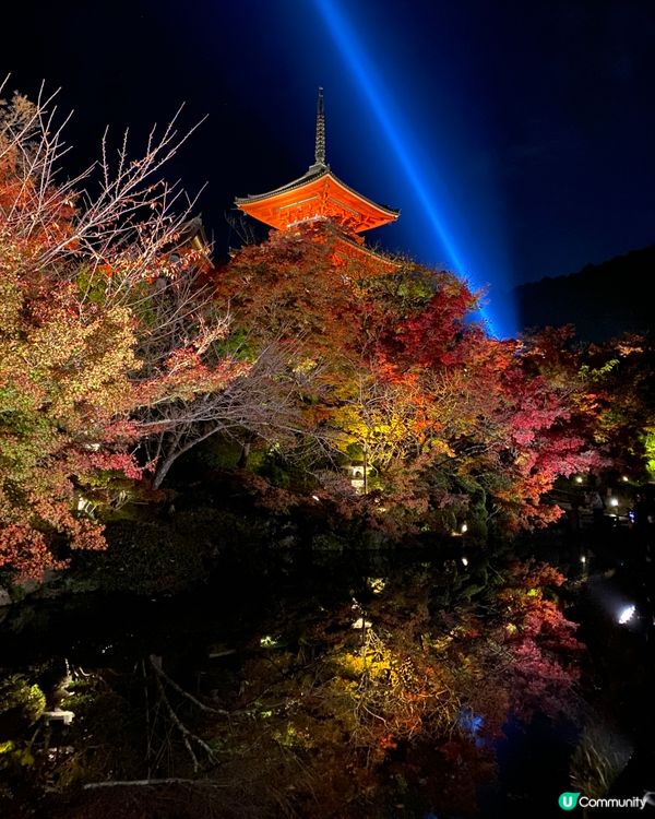 🗺️《開始plan吓》京都清水寺🍁音羽茶寮🍵