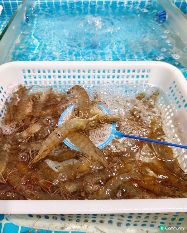 《燕南站生蠔現切牛肉任吃吃到爽》