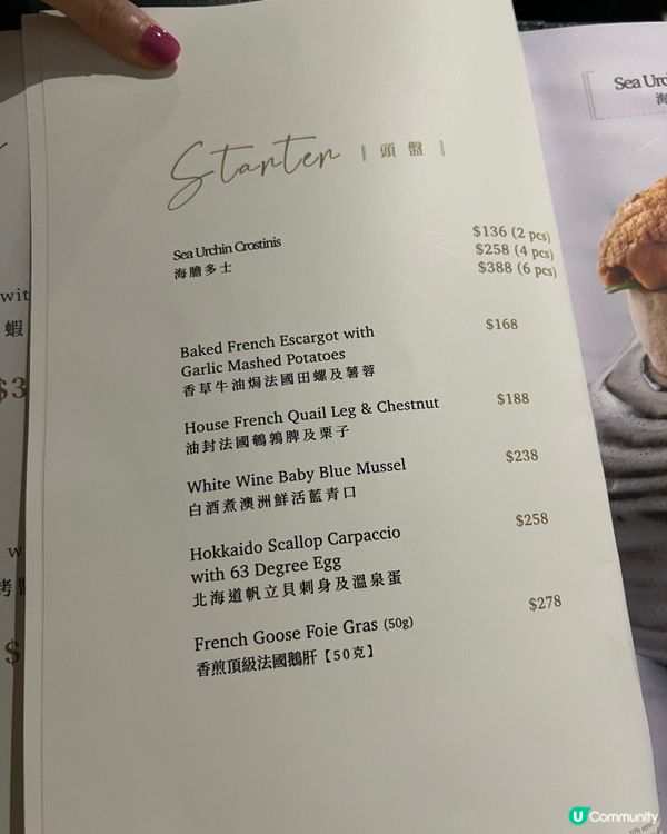 尖沙咀隱世浪漫💕巨型貓貓壁畫🐱高質西餐廳🍽️