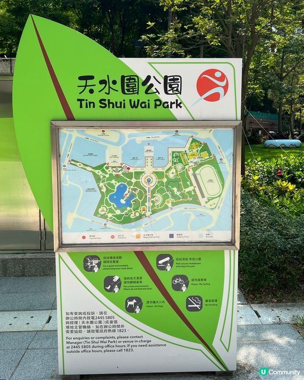 天水圍花海🌺還有星星💫月亮🌙恐龍蛋呀🥚