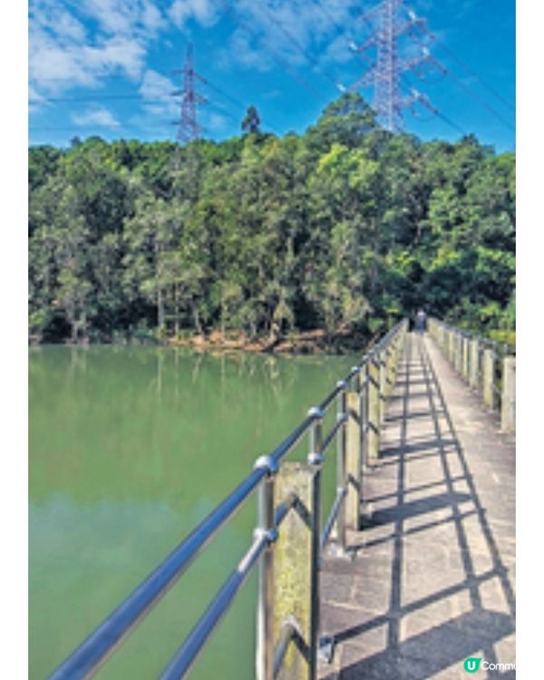 屯門南海濱串連優美景點幻愛橋 浩和街滿異國風情