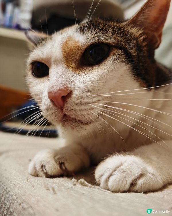 開飯前後的不同面貌：無論等幾耐，最緊要有得食